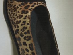 Pointy leo